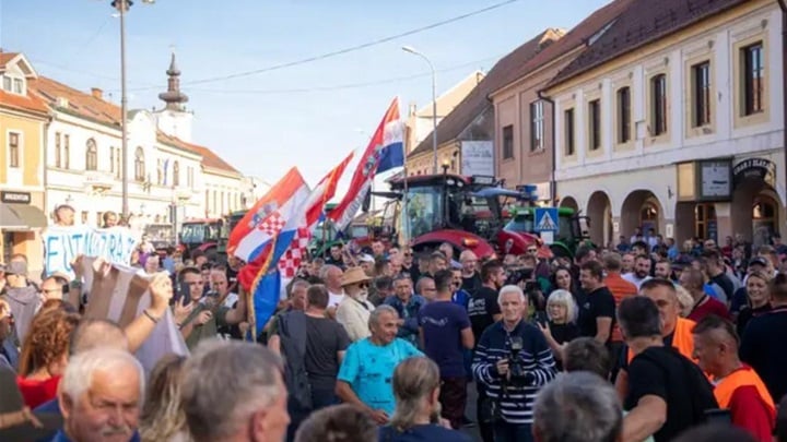 WhatsApp Image 2023-10-29 at 16.56.51 (1).jpeg