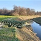 ČUDO(VIŠTE) U VARAŽDINU : Krokodil na obali rijeke Plitvice ?!