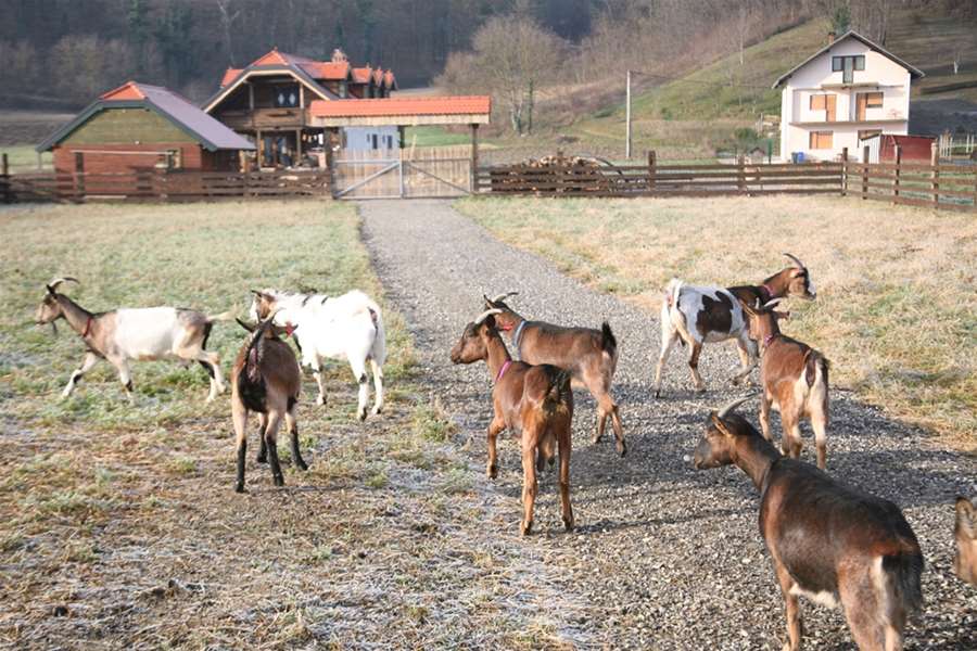 potpore u poljoprivredi.JPG