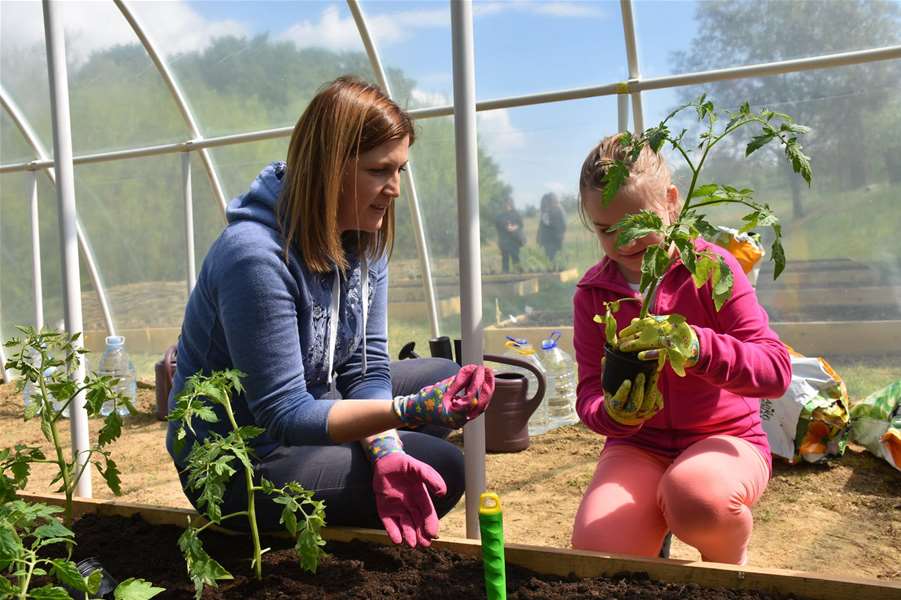 udruga feniks vrt 4.jpg