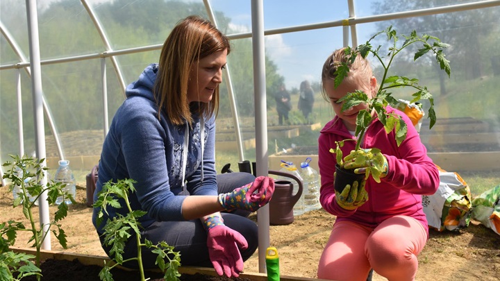 udruga feniks vrt 4.jpg