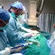 Prvi put u Hrvatskoj obavljena rekonstrukcija cijelog luka aorte