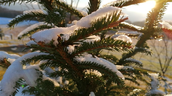 prognoza zima snijeg.jpg