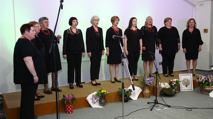 5.6. 2022. Koncert -Stubici na dar- ŽVS KUD Stubica 035.JPG