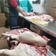 Ako i ne uzgajaju vlastite, mnogi Zagorci kupuju svinje i rade kolinje: 'Pravimo krvavice, čvarke, prezvuršte...'