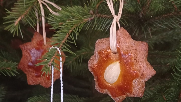 nevenka bedekovčina (3).jpg