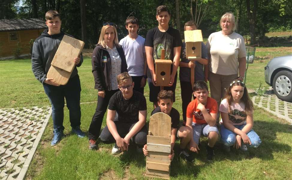 kućice za šišmiše.jpg