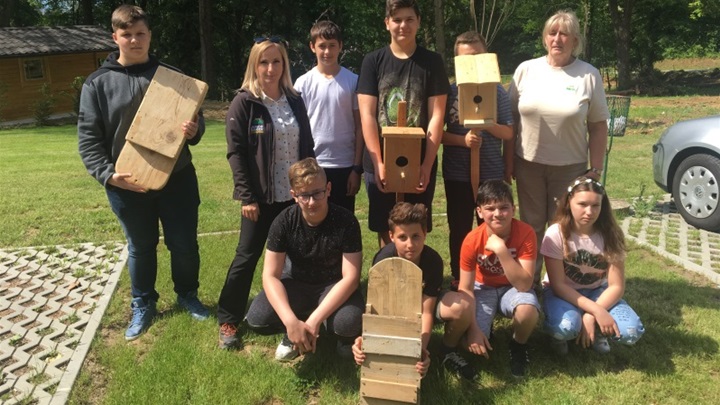 kućice za šišmiše.jpg