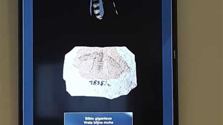 RADBOA U VUKOVARU 3.jpg