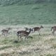 Za veći dio Hrvatske upaljen meteoalarm, stiže promjena vremena: Evo kad kreće i gdje će biti najgore