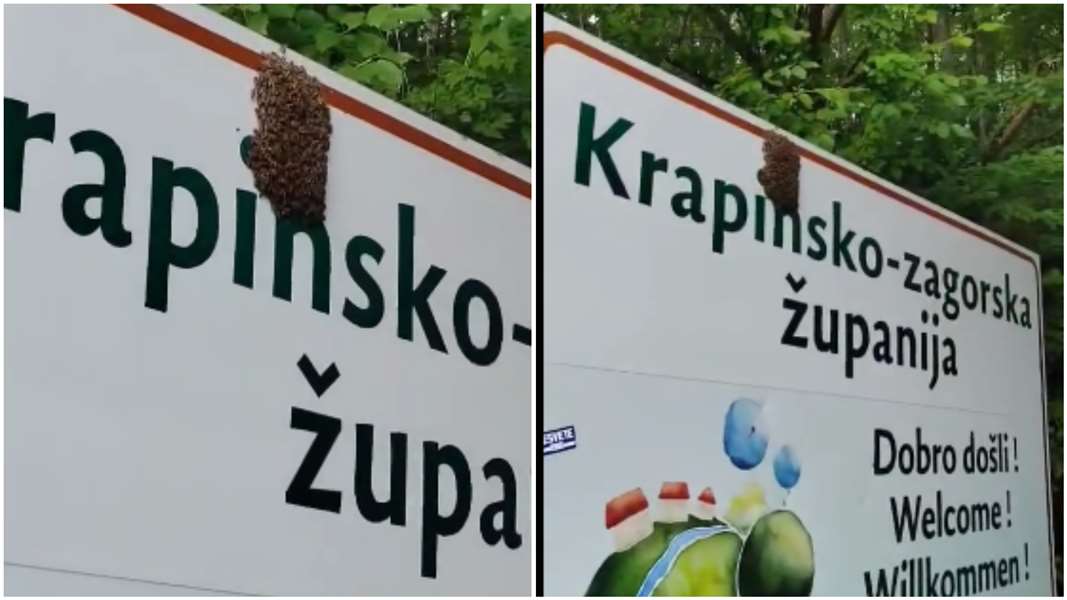 FotoJet - 2025-06-16T181306.022.jpg