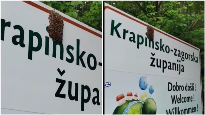 FotoJet - 2025-06-16T181306.022.jpg