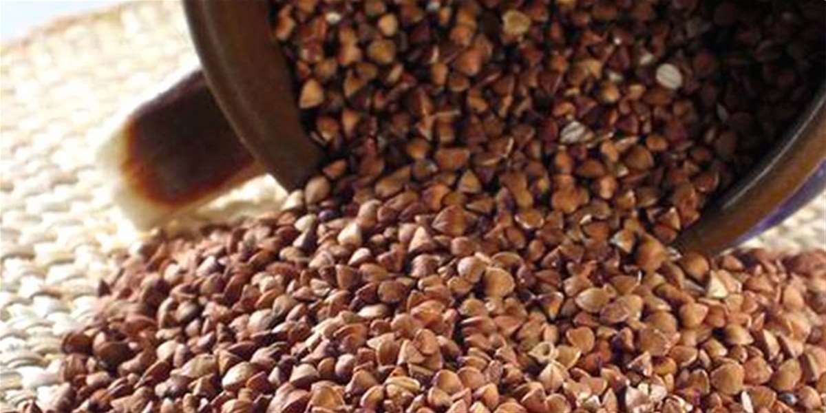 foto: coolinarika.com