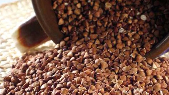 foto: coolinarika.com