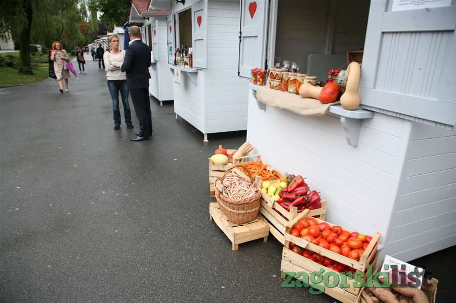 zagorski gospodarski zbor06.jpg