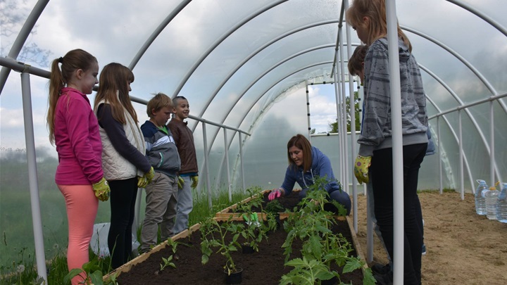 udruga feniks vrt2.jpg