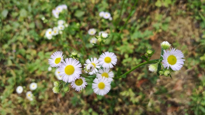 vrijeme jesen (4).jpg