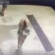 [VIDEO] Oštetile autopraonicu u Gubaševom, šteta oko 1000 eura