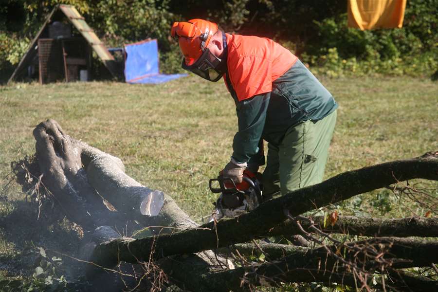 motorna_pila (1).jpg