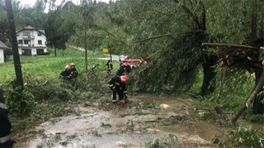 ResizeImage (24).jpg