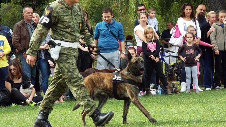 foto: Hrvatski vojnik