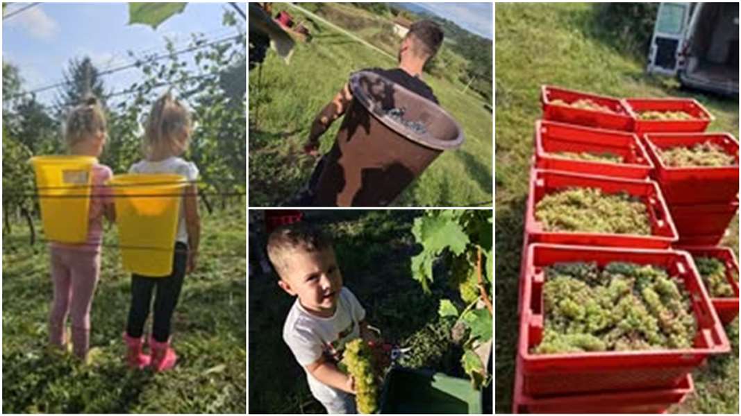 FotoJet - 2025-09-13T204555.426.jpg