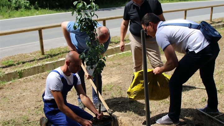 energetski dan (8).jpg