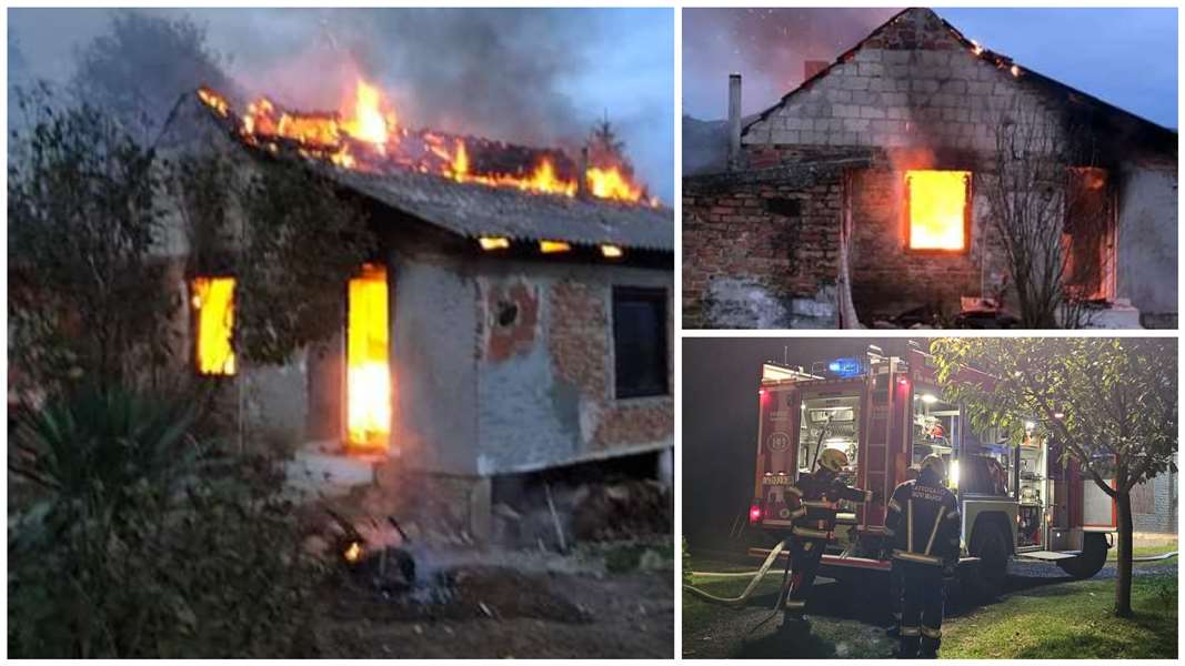 FotoJet - 2023-11-02T022015.326.jpg