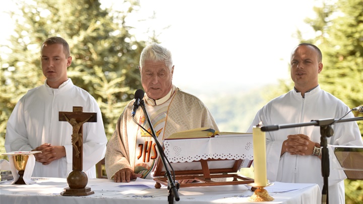 velečasni režek (5).JPG