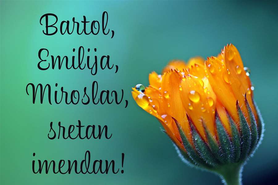 -Bartol, Emilija, Miroslav