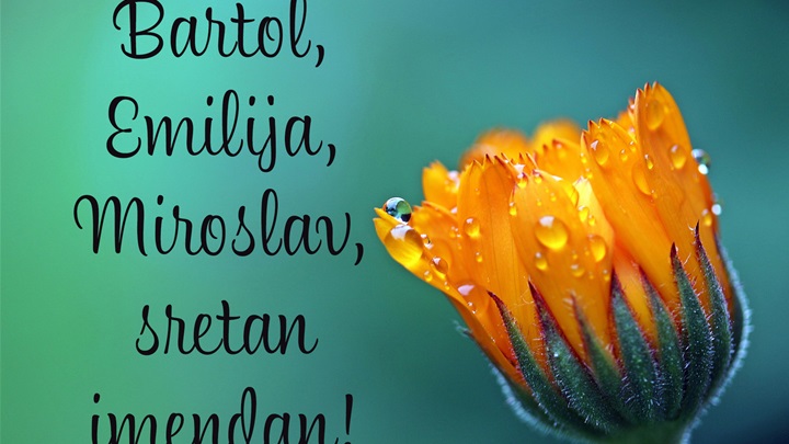 -Bartol, Emilija, Miroslav