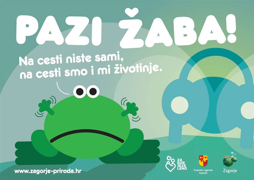 pazi žaba jpg.jpg