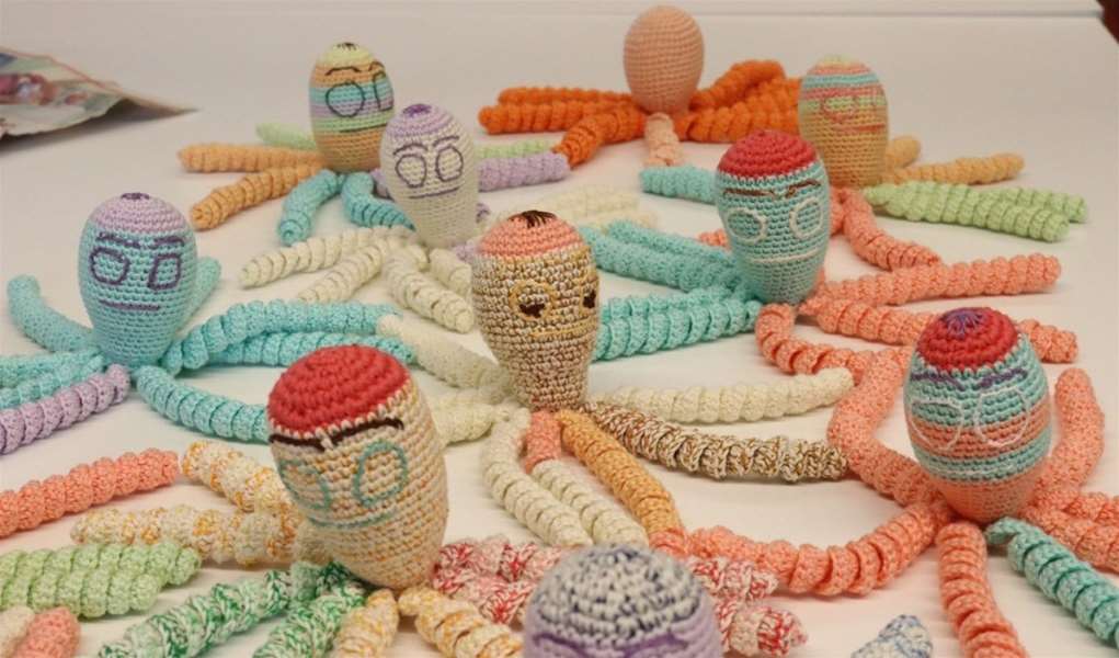 hobotnice za palčiće.jpg