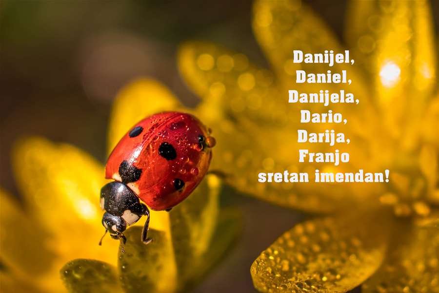 -Dario Darija, Danijel, Danijela, Franjo