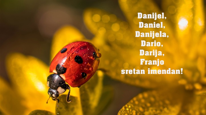 -Dario Darija, Danijel, Danijela, Franjo