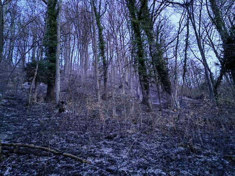 Intervencija Pokojec 7.jpg