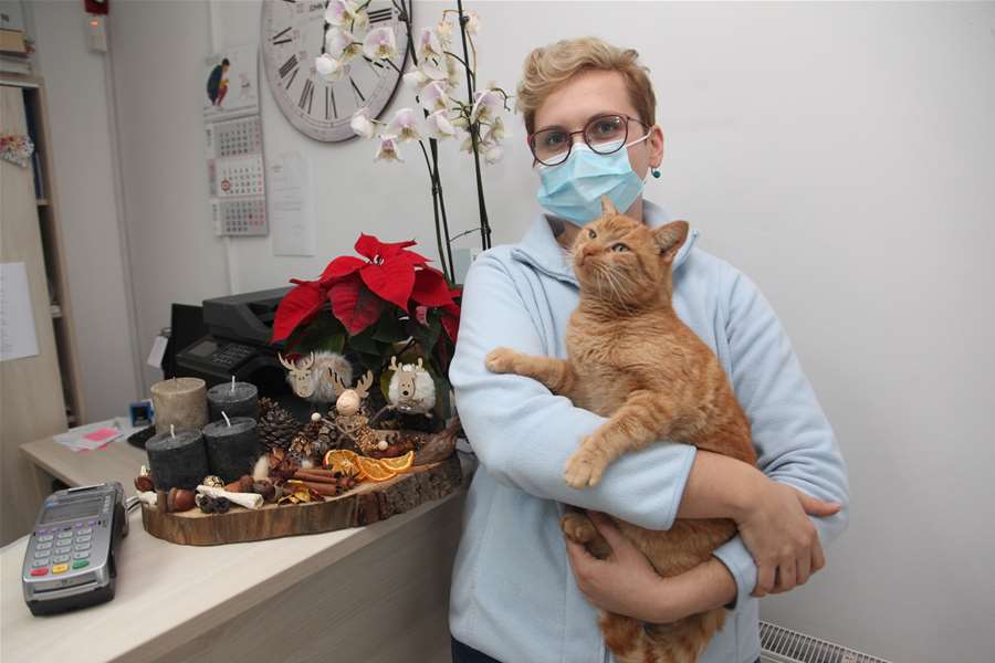 veterinarka