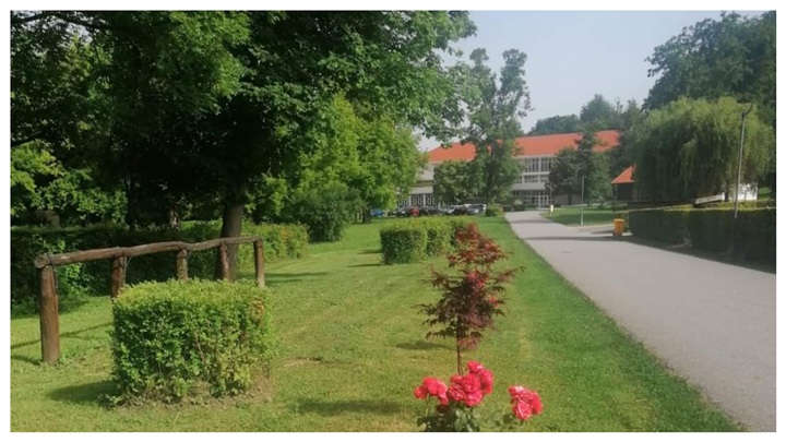 FotoJet - 2024-08-27T135206.493.jpg