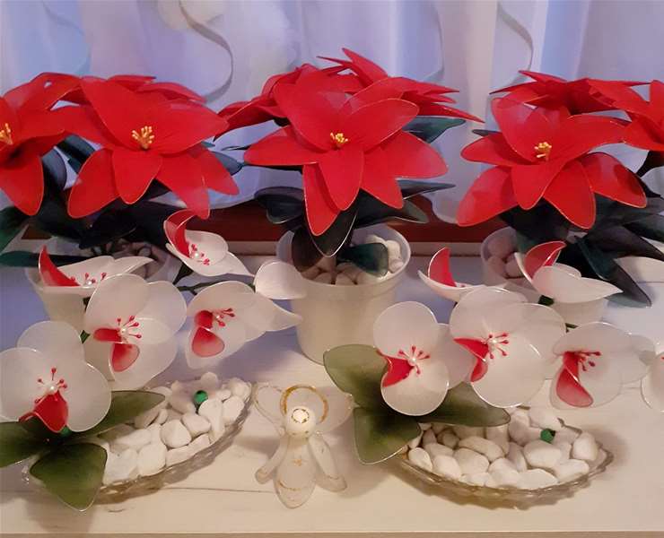 božićne zvijezde2.jpg