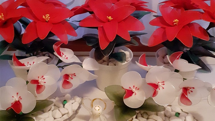 božićne zvijezde2.jpg