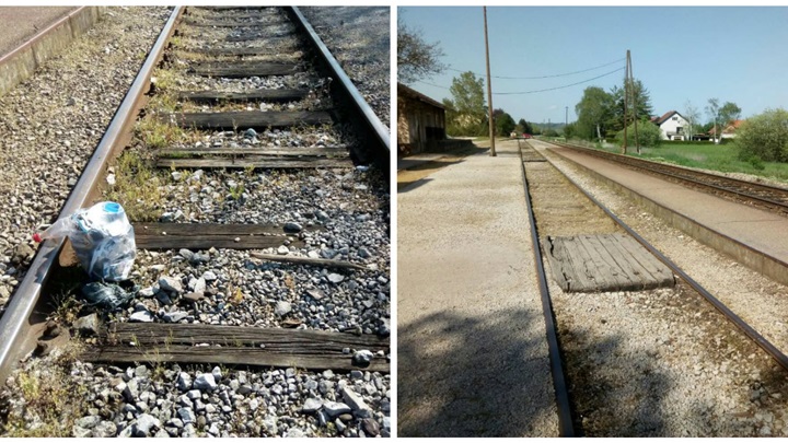 kolaž forum mladih veliko trgovišće.jpg