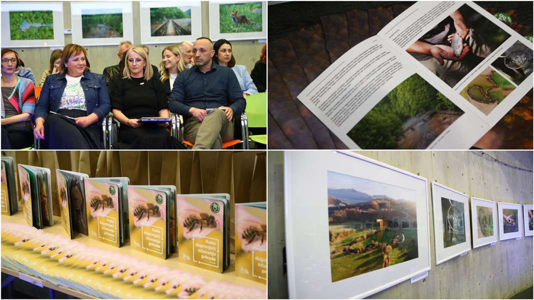 FotoJet - 2025-04-24T191101.734.jpg