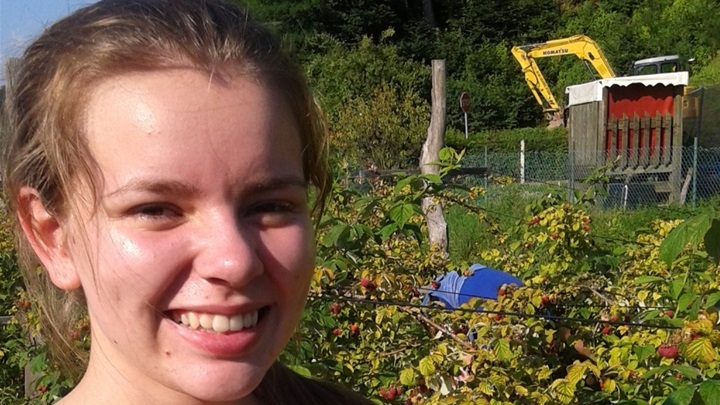 berba malina tuhelj.jpg