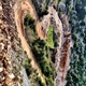  Županijska uprava za ceste Split na Valentinovo objavila fotografiju prometnice u obliku srca