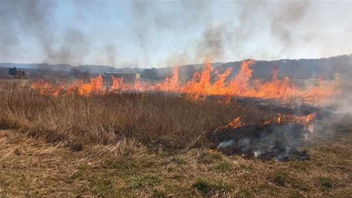 požar trave