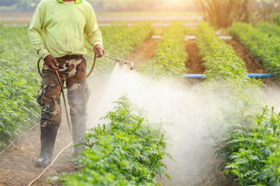 pesticidi špricanje ilustracija.jpg