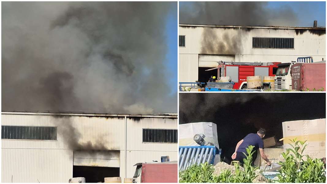 FotoJet - 2024-05-29T174713.136.jpg