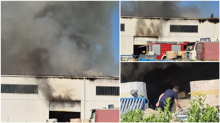 FotoJet - 2024-05-29T174713.136.jpg