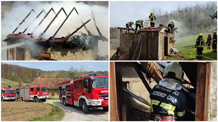 FotoJet - 2023-04-13T101519.338.jpg