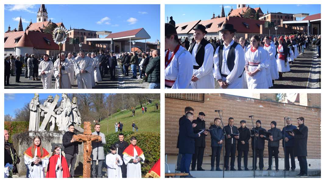 Cvijetnica naslovna .jpg